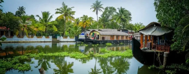 How to Arrange a Perfect Kerala Trip: Essential Tips & Steps