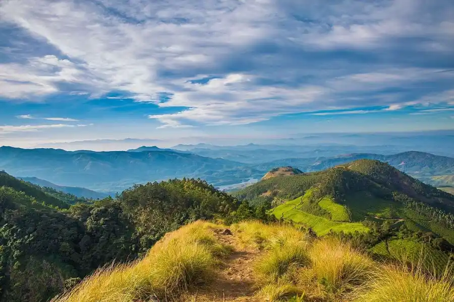 munnar places to visit