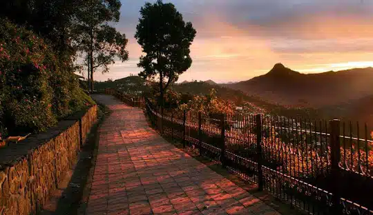 Classic Tamilnadu temple trail 6 Days / 5 Nights