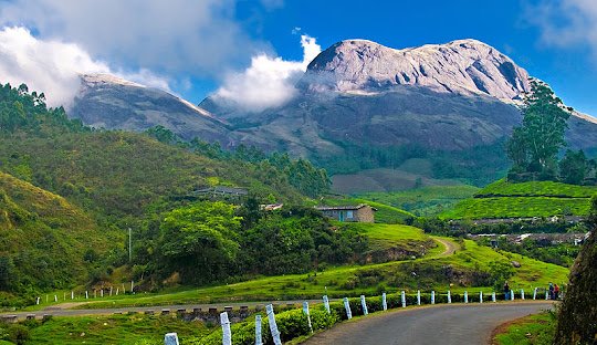 Munnar Hills and Wildlife Tour Packages