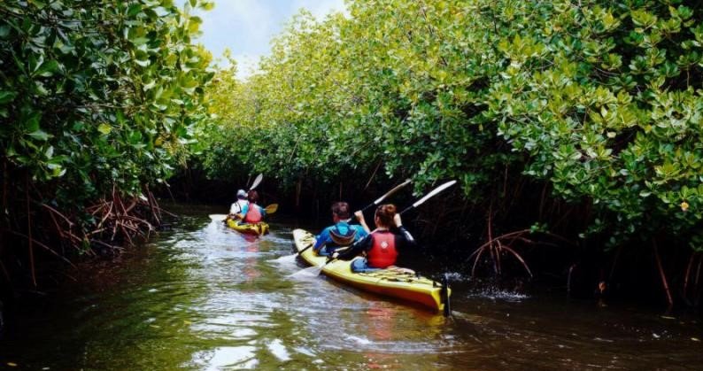 Kayaking in andaman