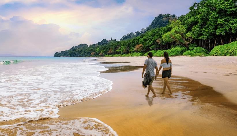 1 Day Andaman Tour Package - 15% OFF