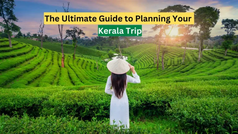 The Ultimate Guide to Planning Your Kerala Trip: Tips, Itineraries, and Must-See Spots