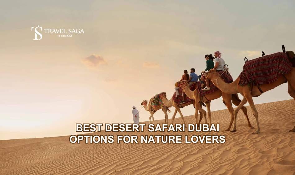 desert safari Dubai,luxury desert safari Dubai,tourist places in Dubai