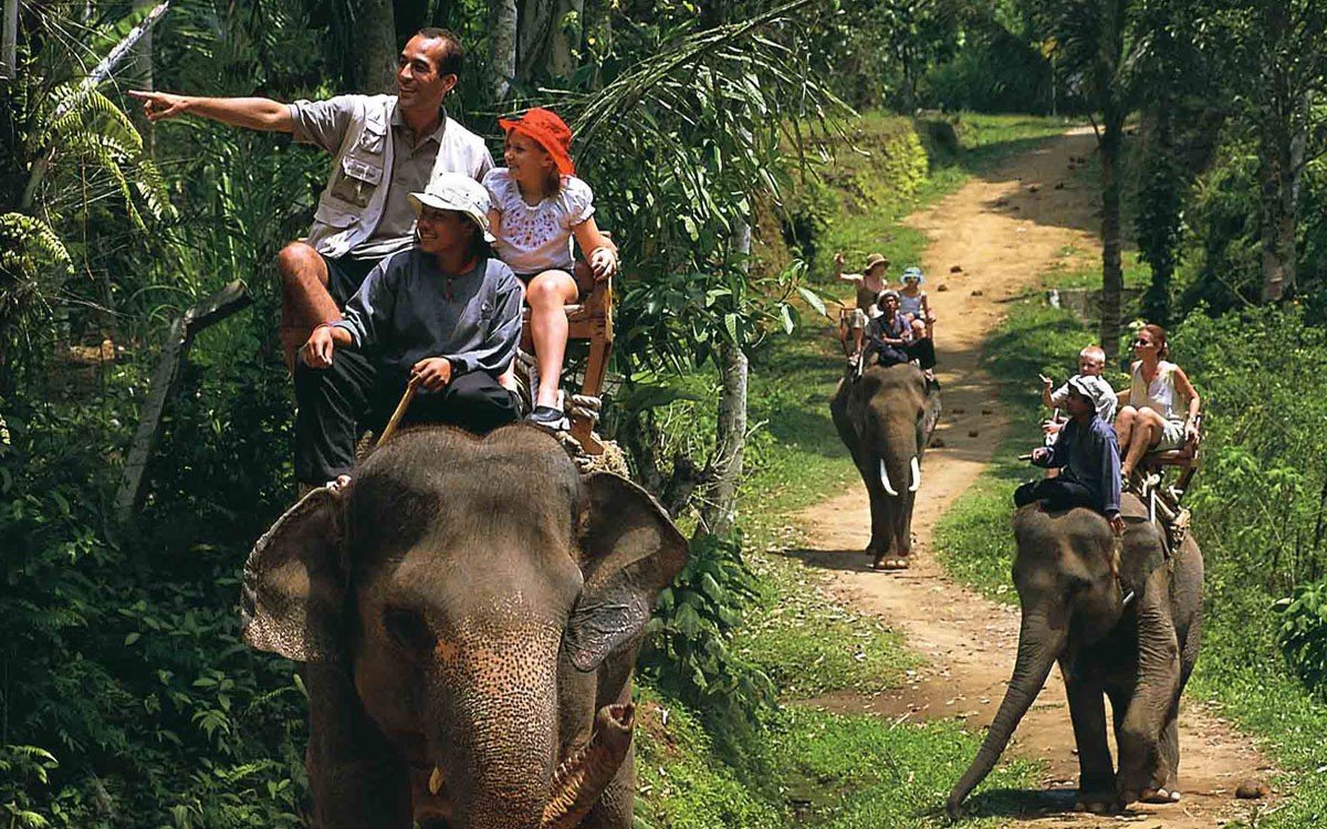 best things to do in kerala,best things to do in kerala india