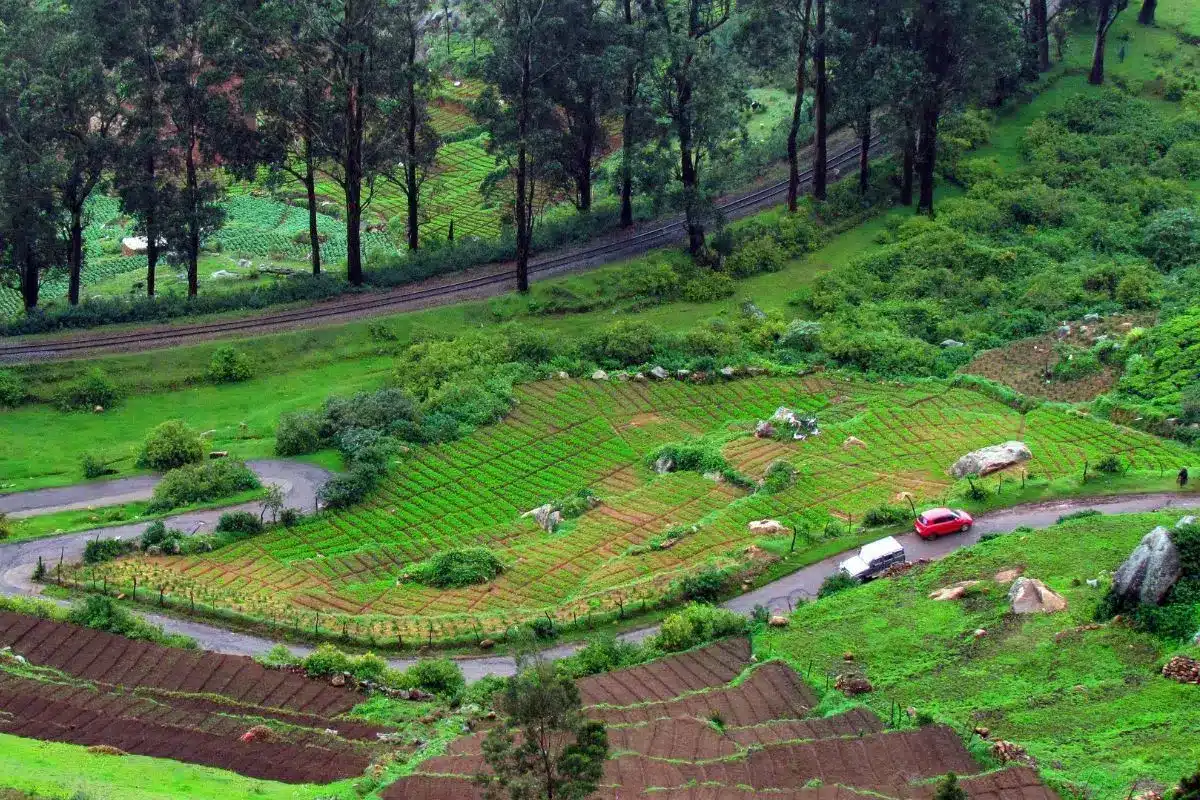 Ooty Tour Packages for Couples