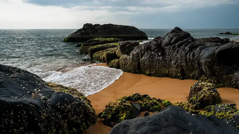 Discover the Top 7 Attractions in Bekal for an Unforgettable Experience