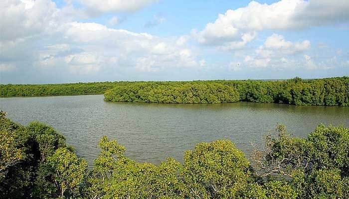Muthupet Mangrove Tour 4 Days – Delta Backwaters