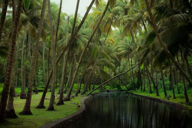 North Kerala Tour from Calicut