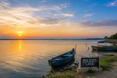Pulicat Lake Tour Package 3 Days – Flamingos & Falls