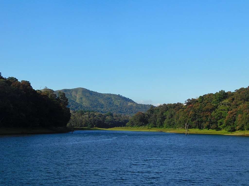 Thekkady One Day Tour Package