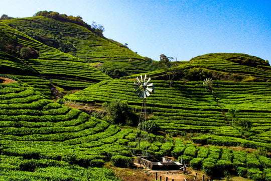 kerala tourist places vagamon