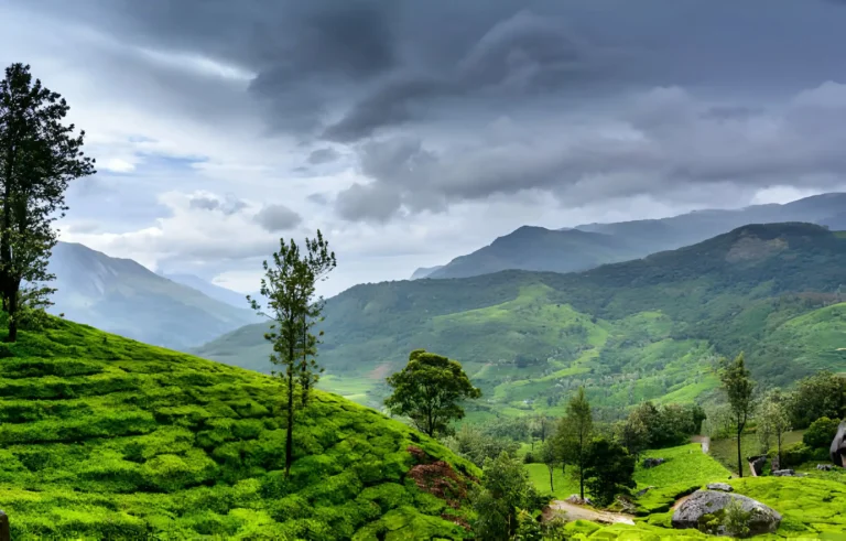 wayanad tour packages