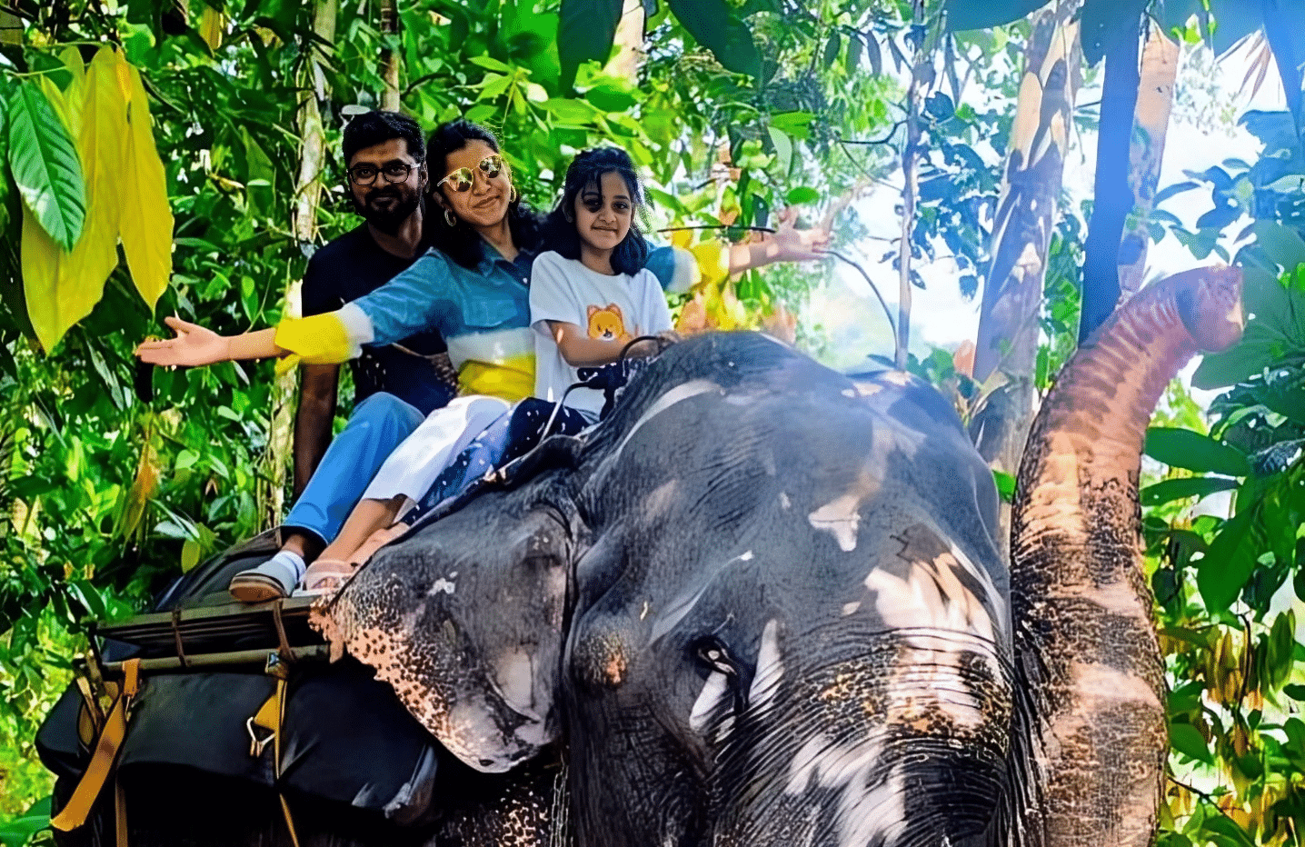 tour operators in Kerala,travel agency in kerala