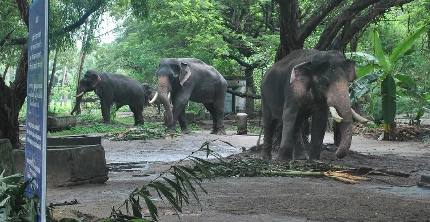 tourist places in thrissur