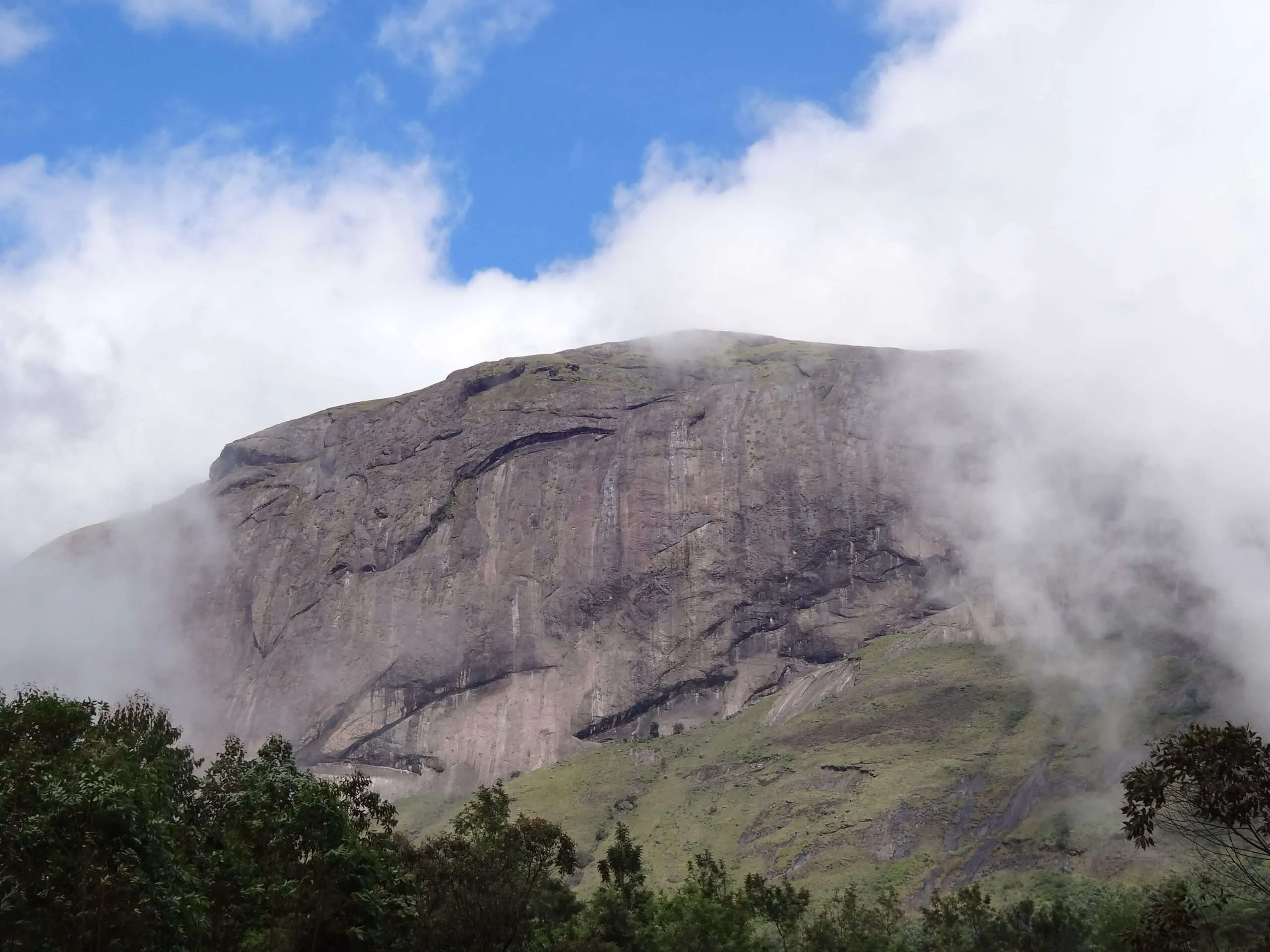 eravikulam national park