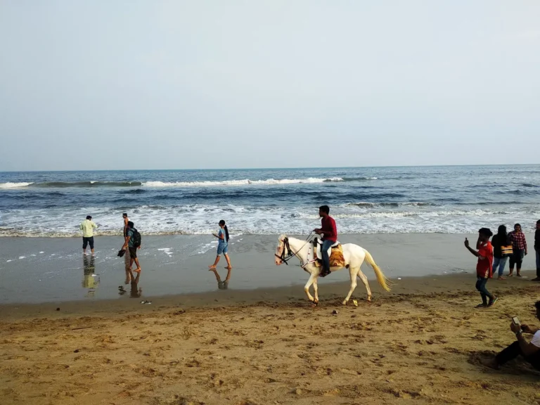 The Ultimate Tamil Nadu Trip Cost Guide 2026 for Families