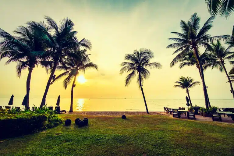 Kerala Coastal Escape 6 Days