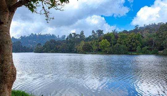 Kodaikanal Tour Packages for Couples