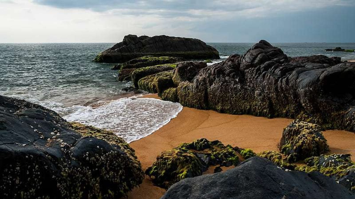 HD-wallpaper-beach-near-bekal-fort-kasaragod-kerala-india-windows-10-spotlight