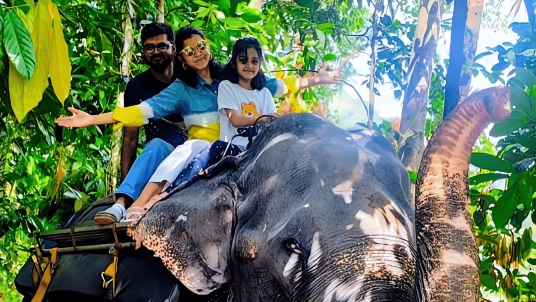 Kerala Tour Testimonials