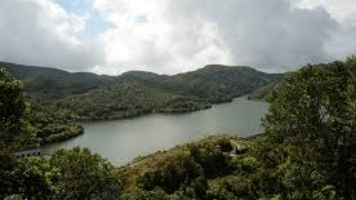 Western Ghats & Waterfalls Tour 6 Days / 5 Nights
