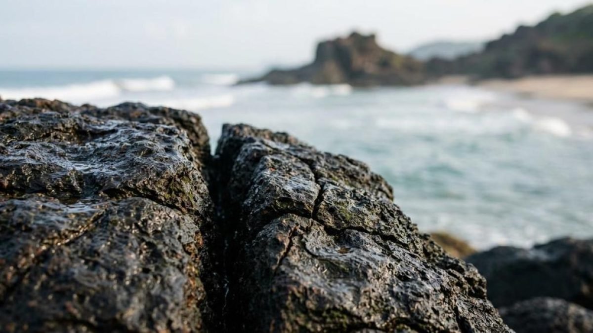 kovalam beaches