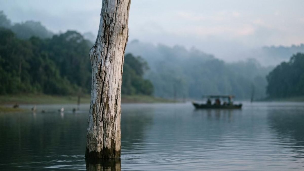 things to do in thekkady