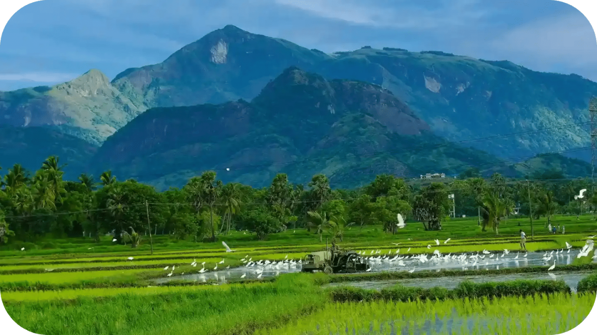 Offbeat Kerala Village Journey 7 Days
