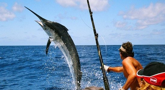 Game Fishing in the Andaman Islands