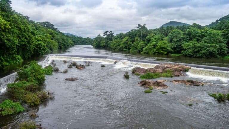 Kerala for Solo Travellers: Is It Safe, and What Should You Include in Your Itinerary?