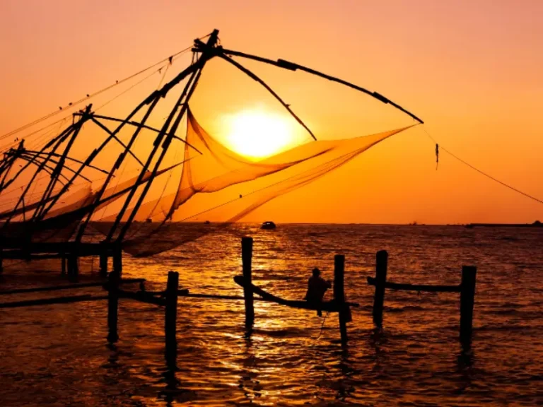 Cochin Munnar Thekkady Journey – Hills & Wildlife Tour
