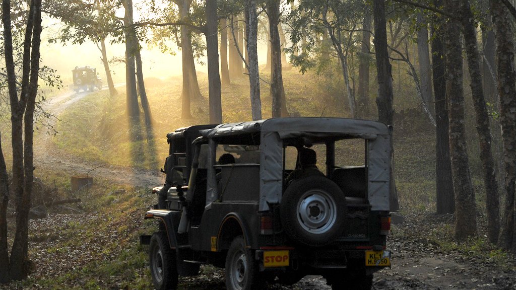 Wayanad Jeep ride Tour Packages