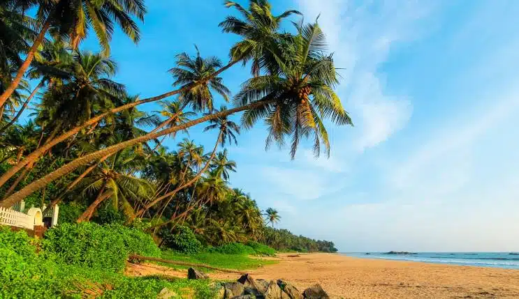 Tourist Places in Kerala,places to visit in Kerala