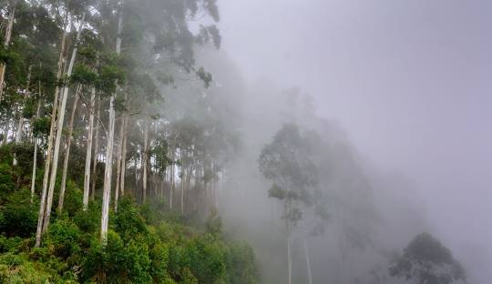 Kodaikanal Ooty Madurai and Coimbatore Tour Itinerary