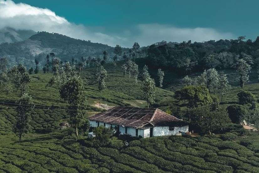 Munnar Thekkady Alleppey Holiday