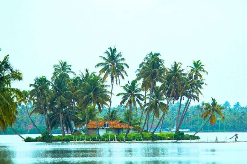 Kerala honeymoon packages 7 days