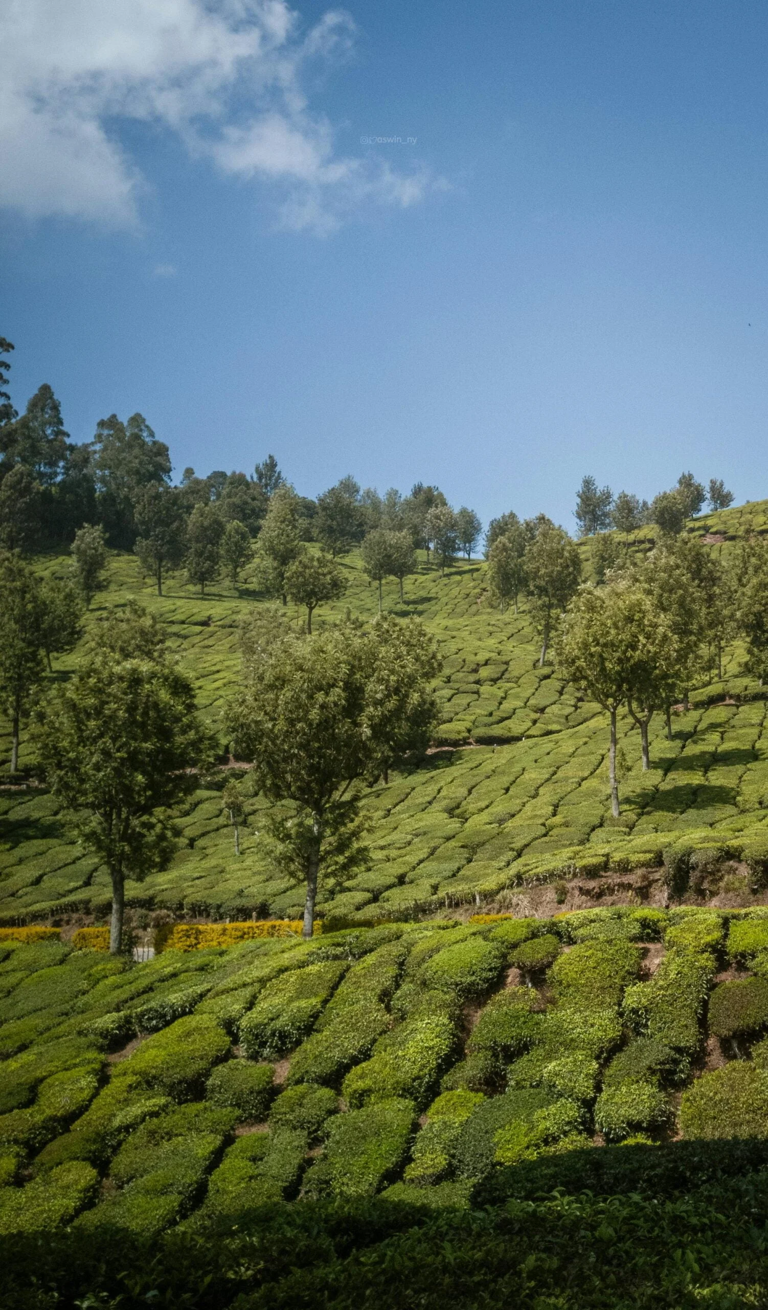 Munnar Tour Packages 3 days 2 Night