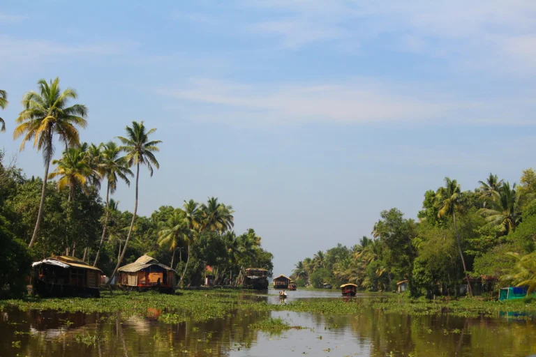 Cultural Tour Packages in Kerala: A 2024 Guide to Unforgettable Experiences