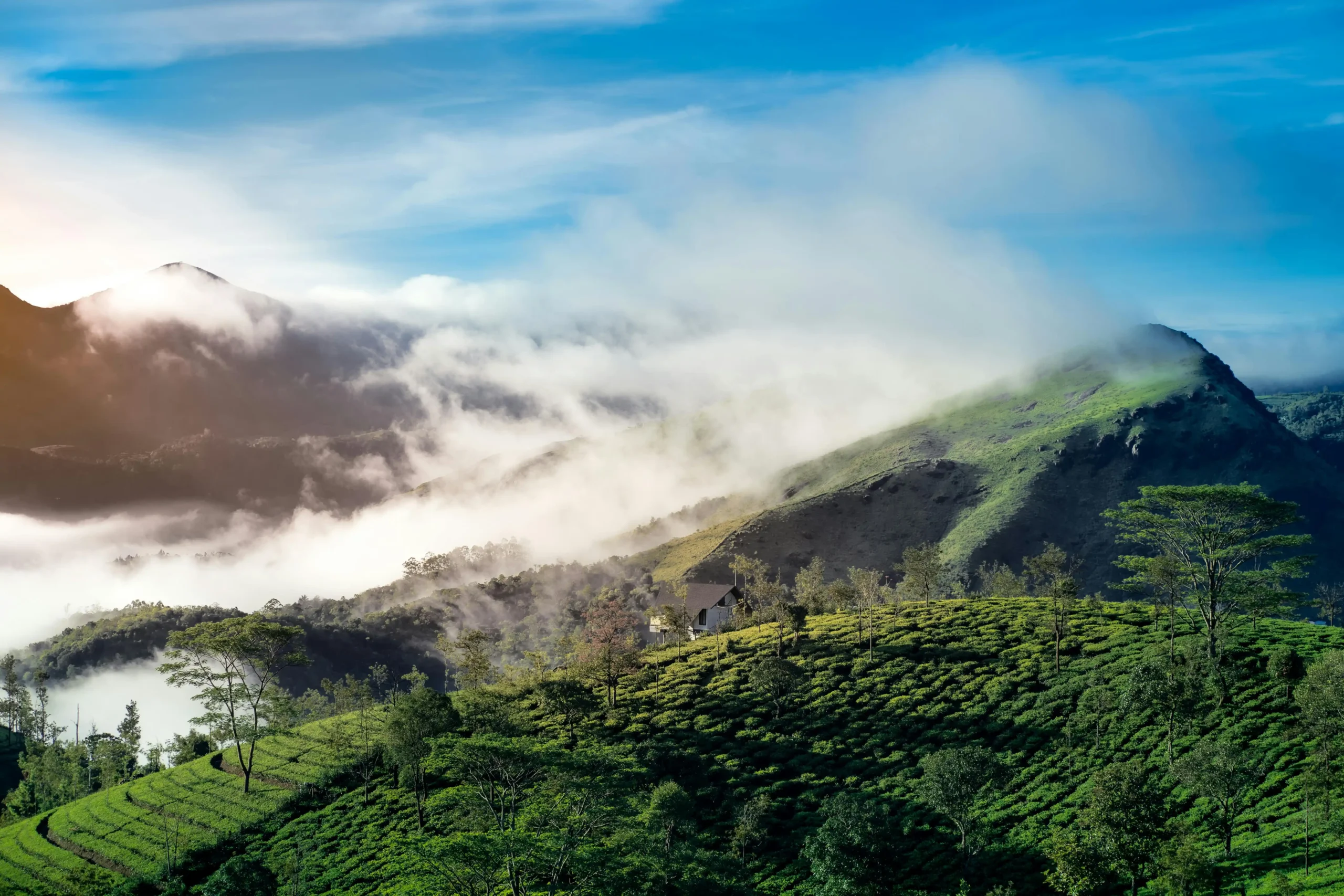 Munnar Honeymoon Packages