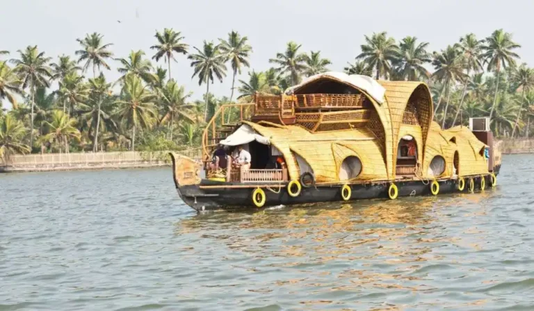 Alleppey tour packages for 1 day