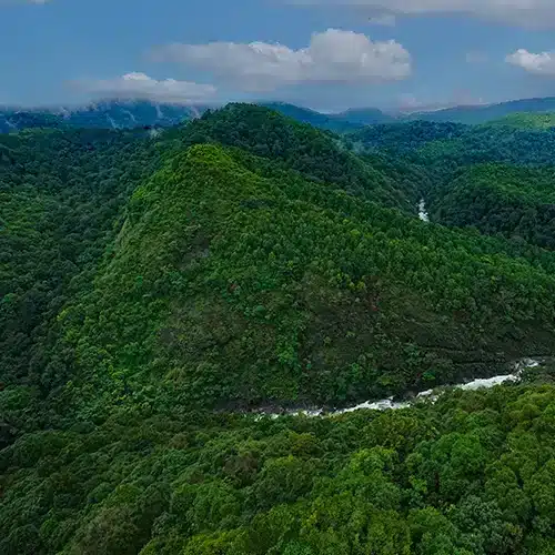 Tourist Places in Kerala,places to visit in Kerala