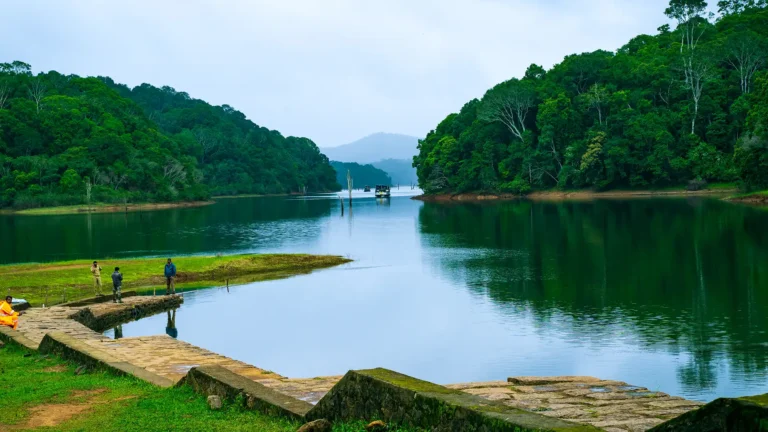 Serene lake surrounded by lush greenery.