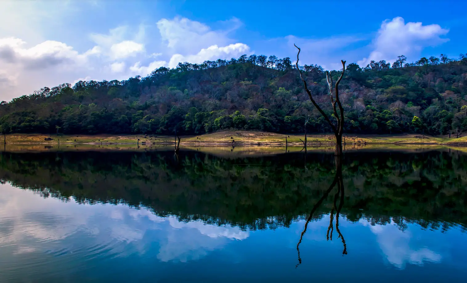 Thekkady Tour Packages from Madurai