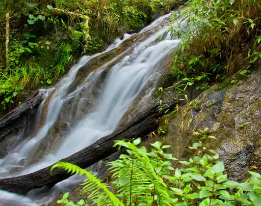 Tourist Places in Kerala,places to visit in Kerala
