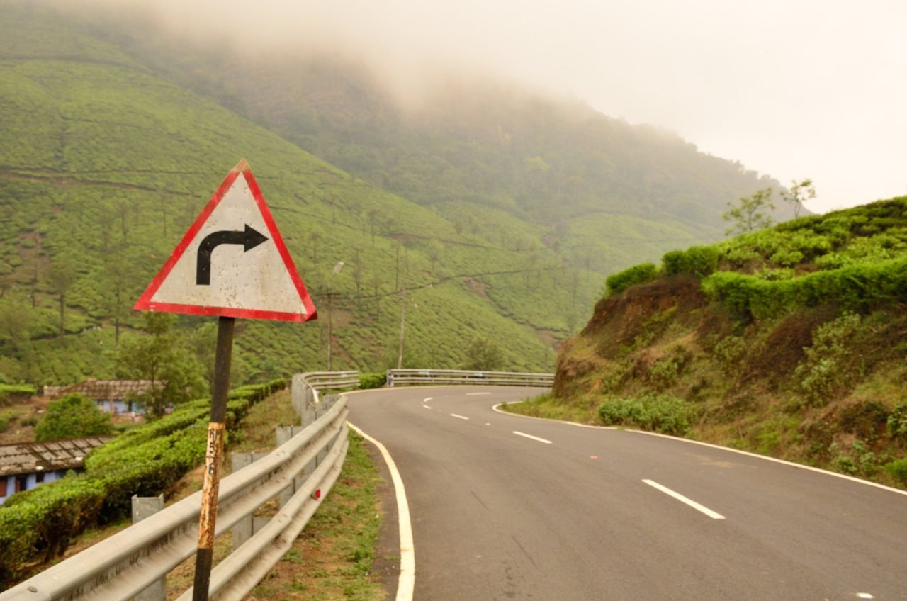How Travel Through India’s Western Ghats Rekindled My Creativity