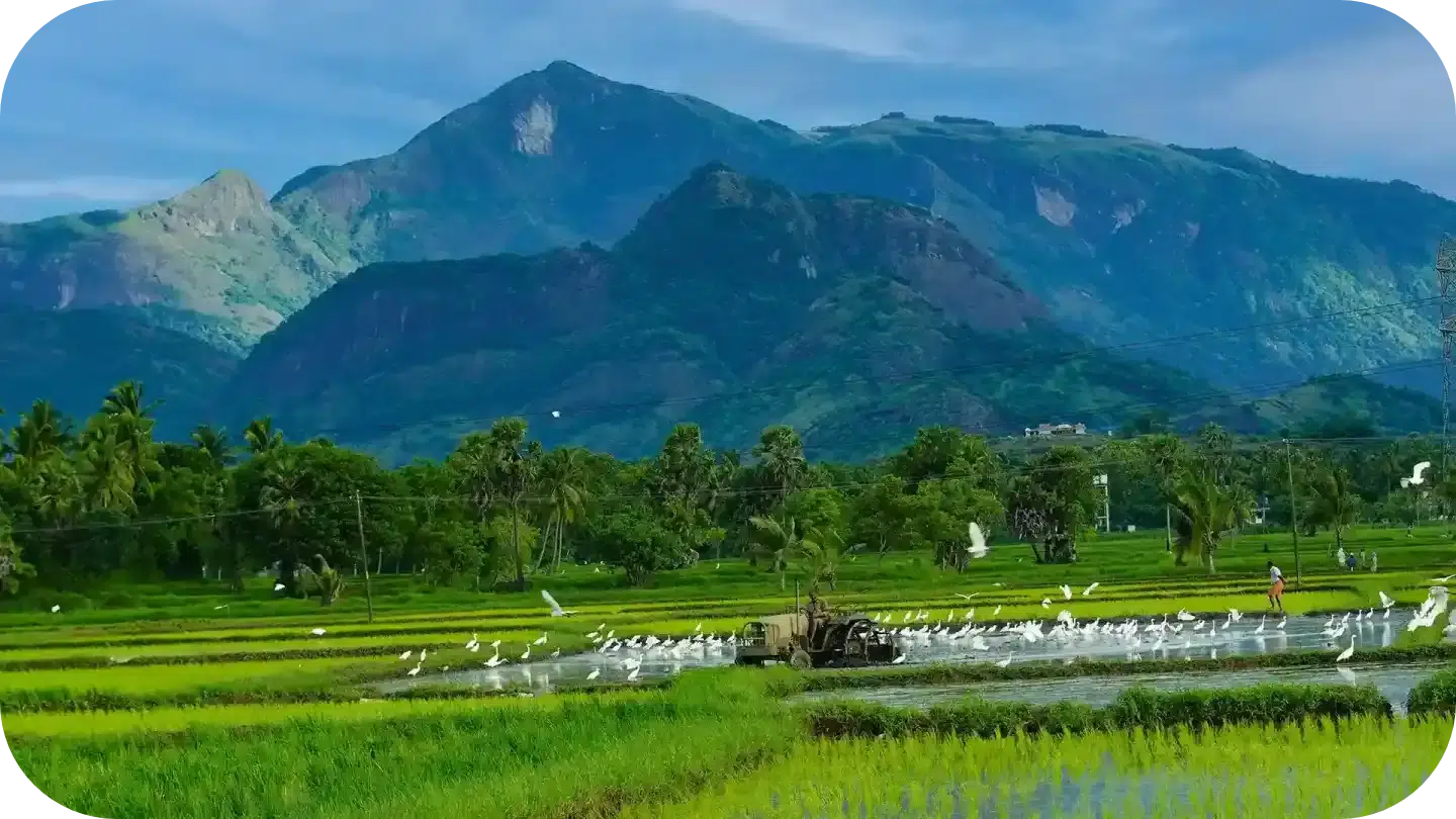 village life